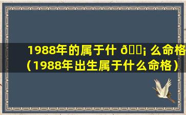 1988年的属于什 🐡 么命格（1988年出生属于什么命格）